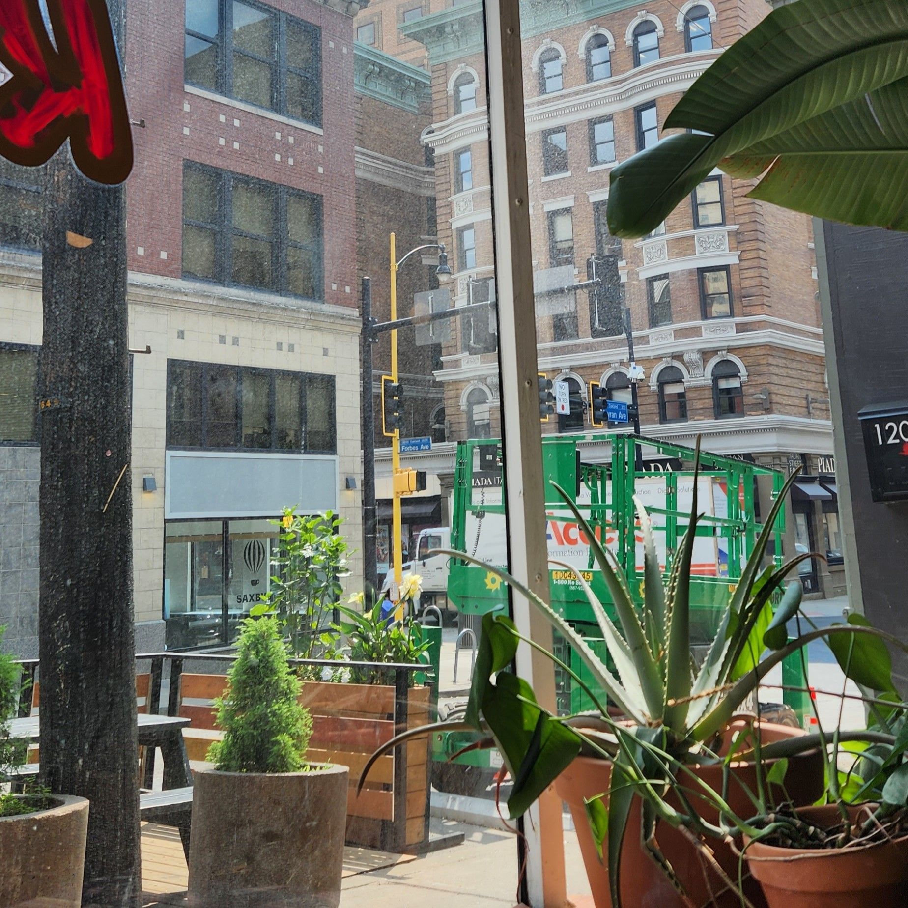 Plants in front of a window that looks out to an urban street with construction equipment.